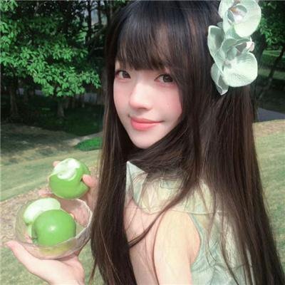小老鼠历险记