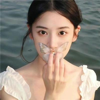 碧窗艳影